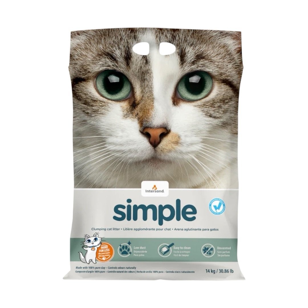 Arena para Gato Intersand