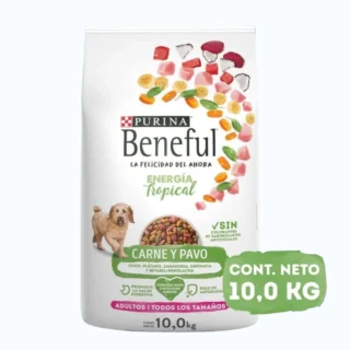 Beneful Todos los Tamaños