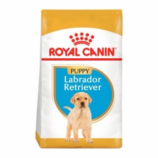 Royal Canin Cachorros