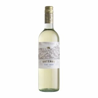 Vino Blanco Anterra